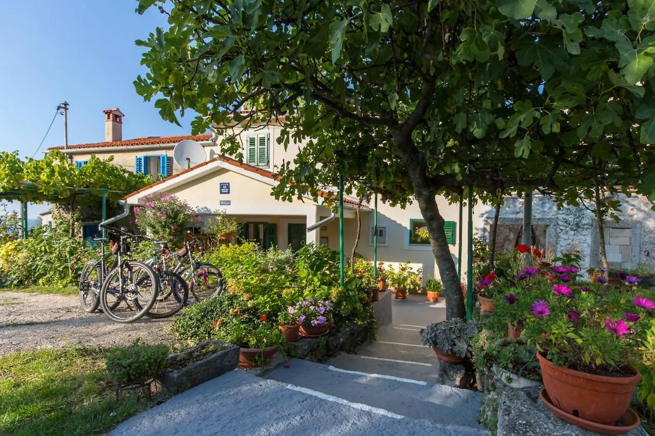 Haus Valerija Villa Labin